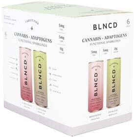 Blncd THC + Mushroom Functional Elixir – Sampler - 5mg THC + 5mg CBD