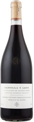 Mary Taylor Castilla y Leon Red Blend