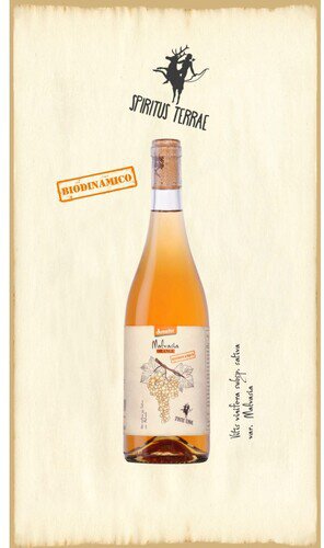 Spiritus Terrae Terre Di Chieti Malvasia Orange