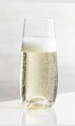 Govino Flutes Sparkling Wine Glasses