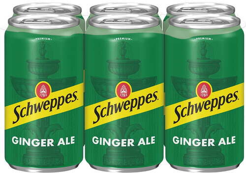 Schweppes Ginger Ale Mini Can