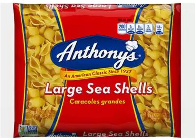 Anthonys Large Sea Shells