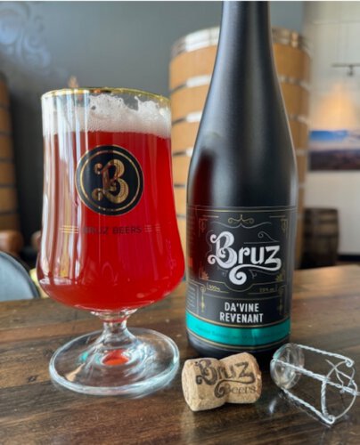 BRUZ DA'VINE REVENANT