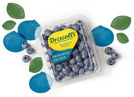 Driscolls Blueberry