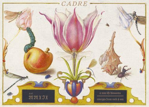 Cadre Wines 'Stone Blossom' Sauvignon Blanc Keg