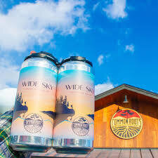 COMMON ROOTS WIDE SKY DIPA 4 PK CANS