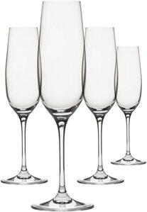 Polycarbonate Champagne Flute
