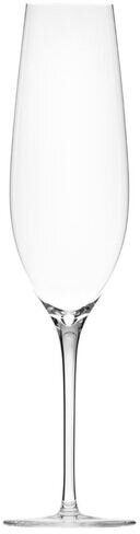 Polycarbonate Champagne Flute