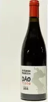 Antonio Maderia Dao Red