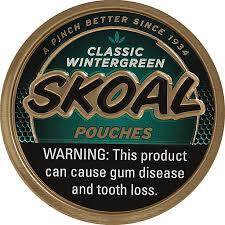 Skoal Classic Wintergreen Pouches