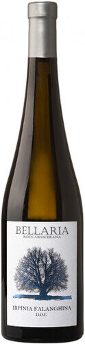 Bellaria Falanghina DOC