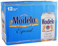 MODELO ESPECIAL