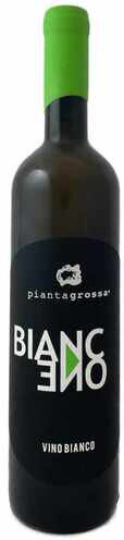 Pianta Grossa BiancOne