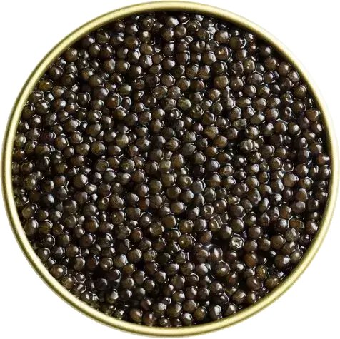 Calvisius Beluga Hybrid Caviar 1oz