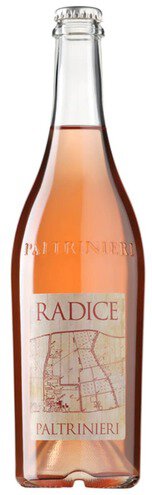 Paltrinieri Sparkling Lambrusco Di Modena Radice