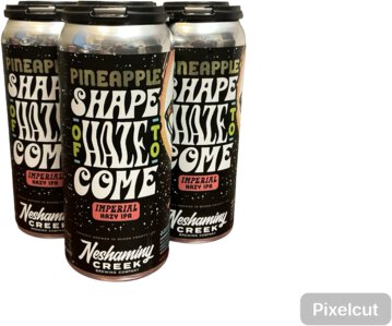 Neshaminy Pineapple Shape of Haze to Come 4PK Cans