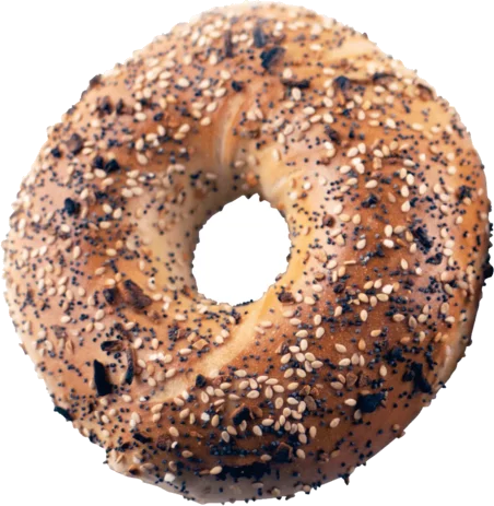 New Yorker Bagel Everything