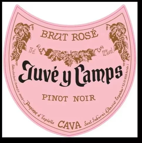 Juvé y Camps Brut Rosé