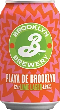 Brooklyn Playa De Brooklyn
