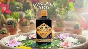HENDRICKS GIN OASIUM