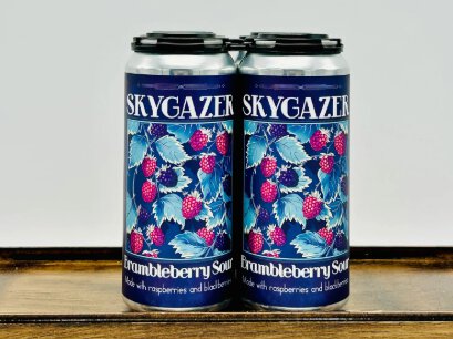 SKYGAZER BRAMBLEBERRY SOUR ALE 4PK 16OZ CANS