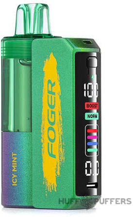 Foger Switch Pro Kit Icy Mint 30k Puff