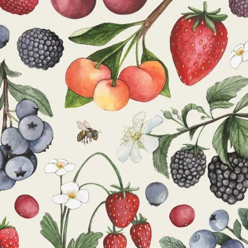 Hester Cook Wild Berry Guest Napkin