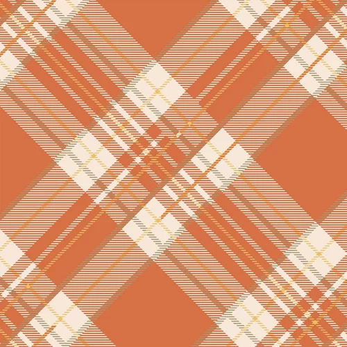 Hester Cook Orange Plaid Guest Napkins