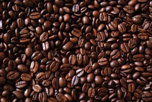 Sumatran Mandheling Kasho Coffee