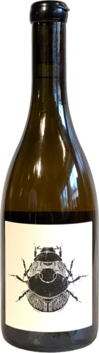 Vin De Noe 
