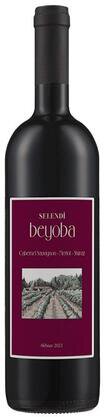 Selendi Beyoba