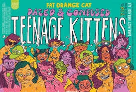 FAT ORANGE CAT TEENAGE KITTENS 4/16OZ
