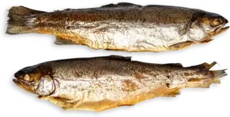 Fresh Smoked Idaho Trout