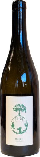 Morillon Vom Opok Werlitsch Weingut Werlitsch