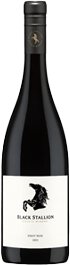 Black Stallion Pinot Noir Santa Lucia Highlands
