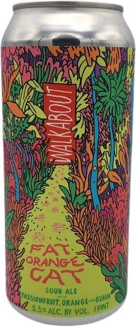 Fat Orange Cat Walkabout Passionfruit Orange Guava Sour Ale Limited Release