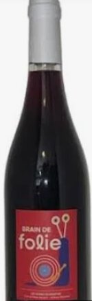 Domaine Du Mortier Brain De Folie Rouge Loire Valley France