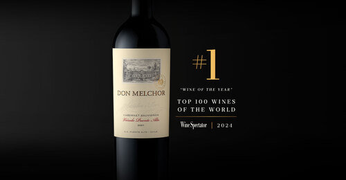 Best Wine Wine Spectator Wine Of The Year 2021 Don Melchor