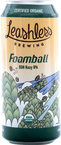 Leashless Foamball
