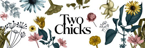Two Chicks Lemonade Variety Pack