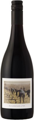 The Language Of Yes Rancho Real Vineyard