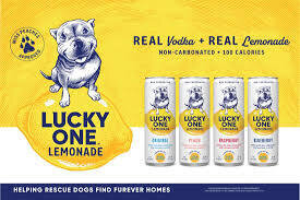 High Noon Lucky One Vodka Lemonade Variety Pack