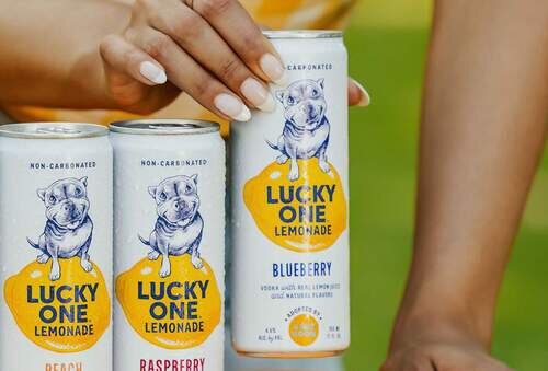 High Noon Lucky One Blueberry Lemonade