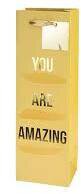 Gift Bag You Are Amazing