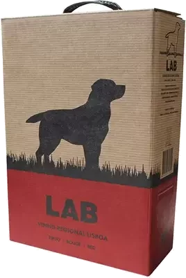 Casa Santos Lima Lab Red