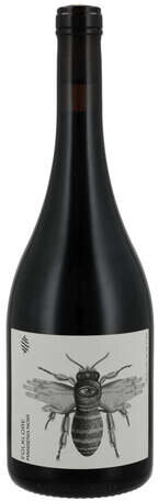 Castel Pujols Folklore Manseng Noir
