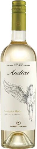 Andica Sauvignon Blanc