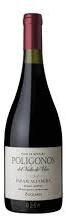 Zuccardi Poligonos Del Valle De Uco Paraje Altamira Malbec