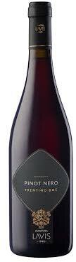 Cantina Lavis Pinot Noir