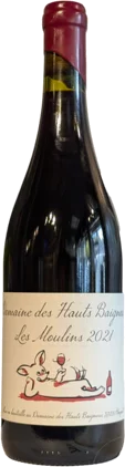 Domaine Des Hauts Baigneux Cabernet Franc Moulins